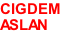 Cigdem  Aslan vocals